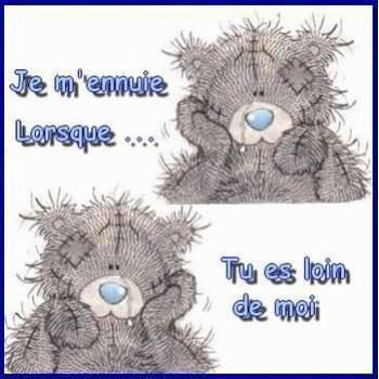 tt la vérité